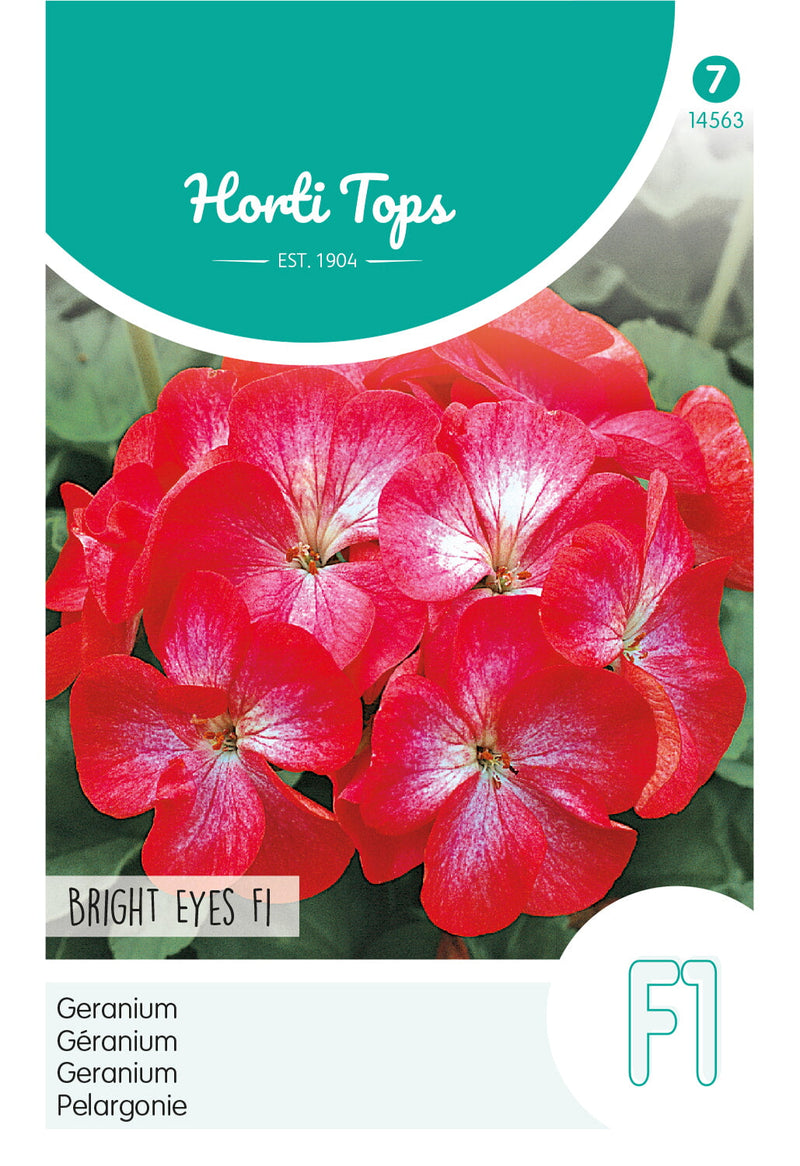 Geranium - Bright Eyes F1 - 10 Seeds