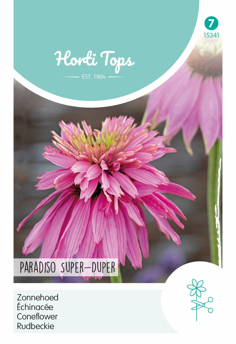 Coneflower - Paradiso Super-Duper - 10 Seeds