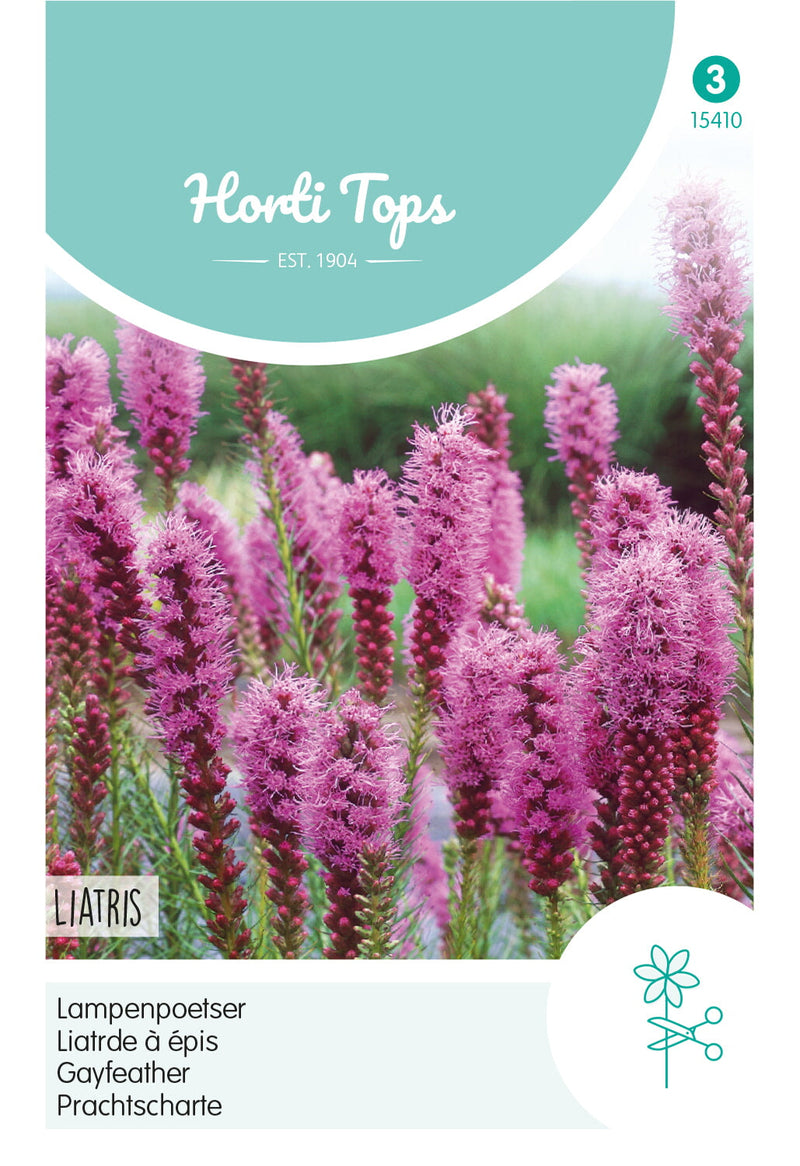 Liatrde à Épis- Liatris - 0,75g