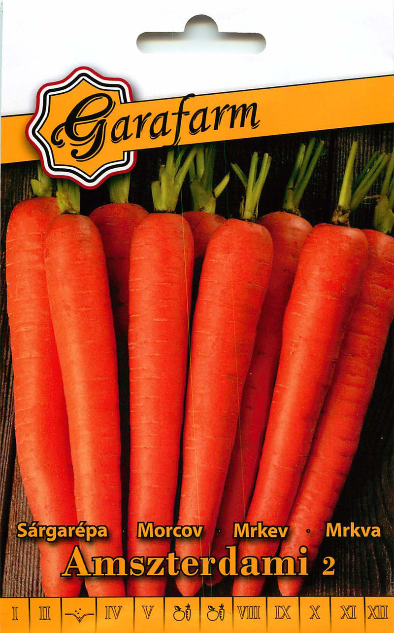 Carota - Amsterdam 2 - 3g