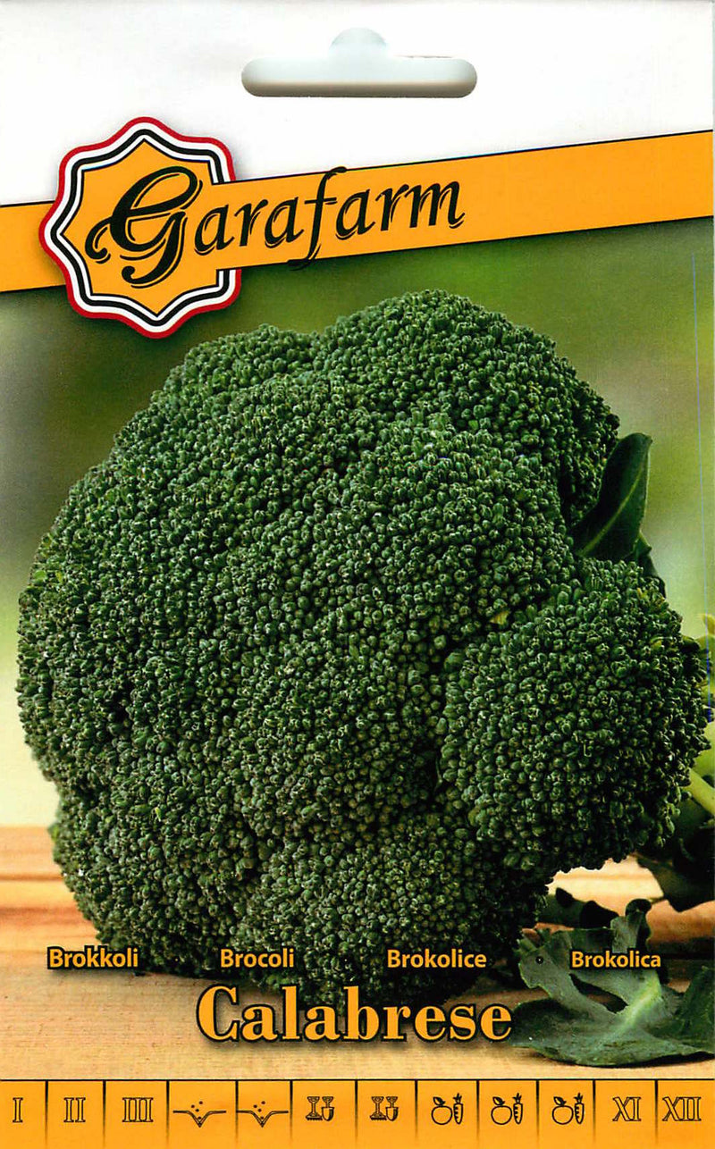 Brocoli - Calabrese - 2g