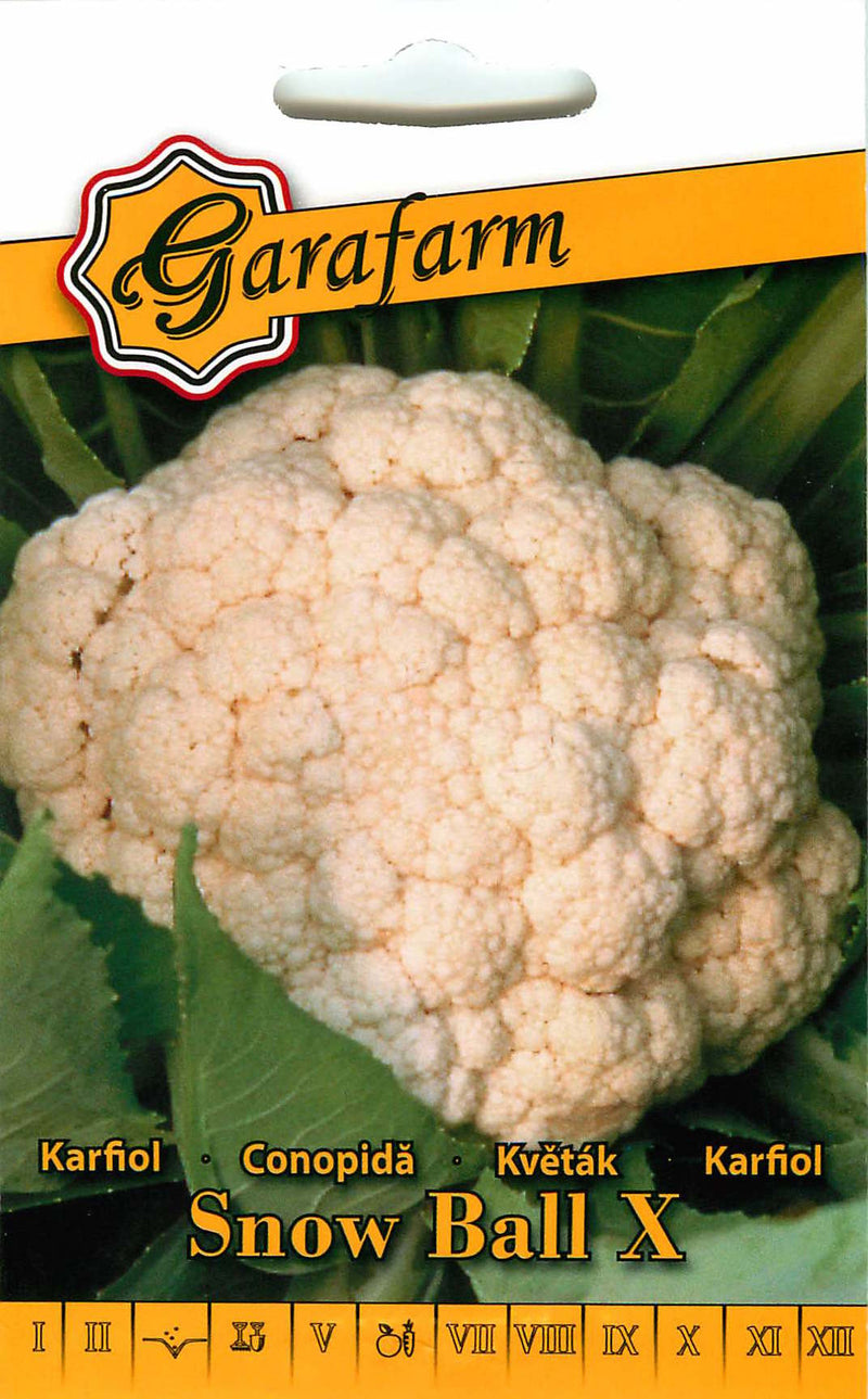 Coliflor - Bola de nieve X - 1g