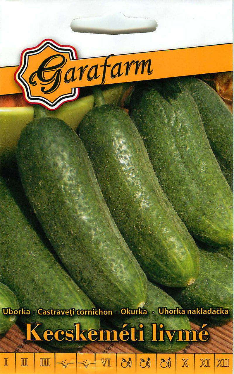 Cucumber - Kecskeméti Livmé - 1g