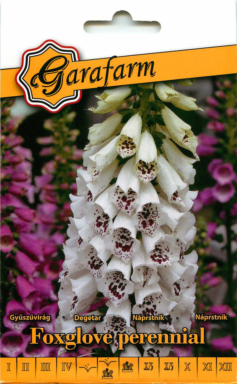 Foxglove - Perennial - 0,5g