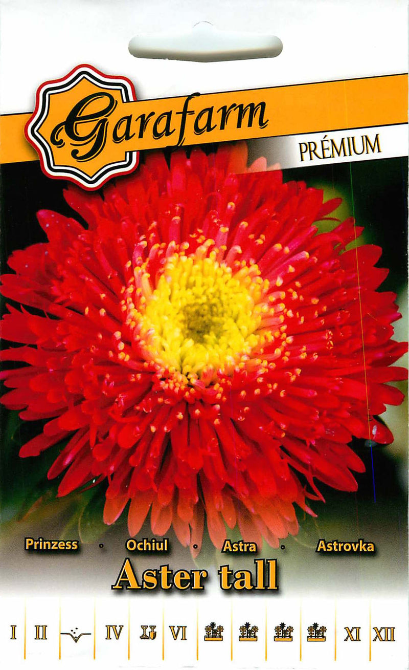 Aster - Prinzessin - Rot - 1g