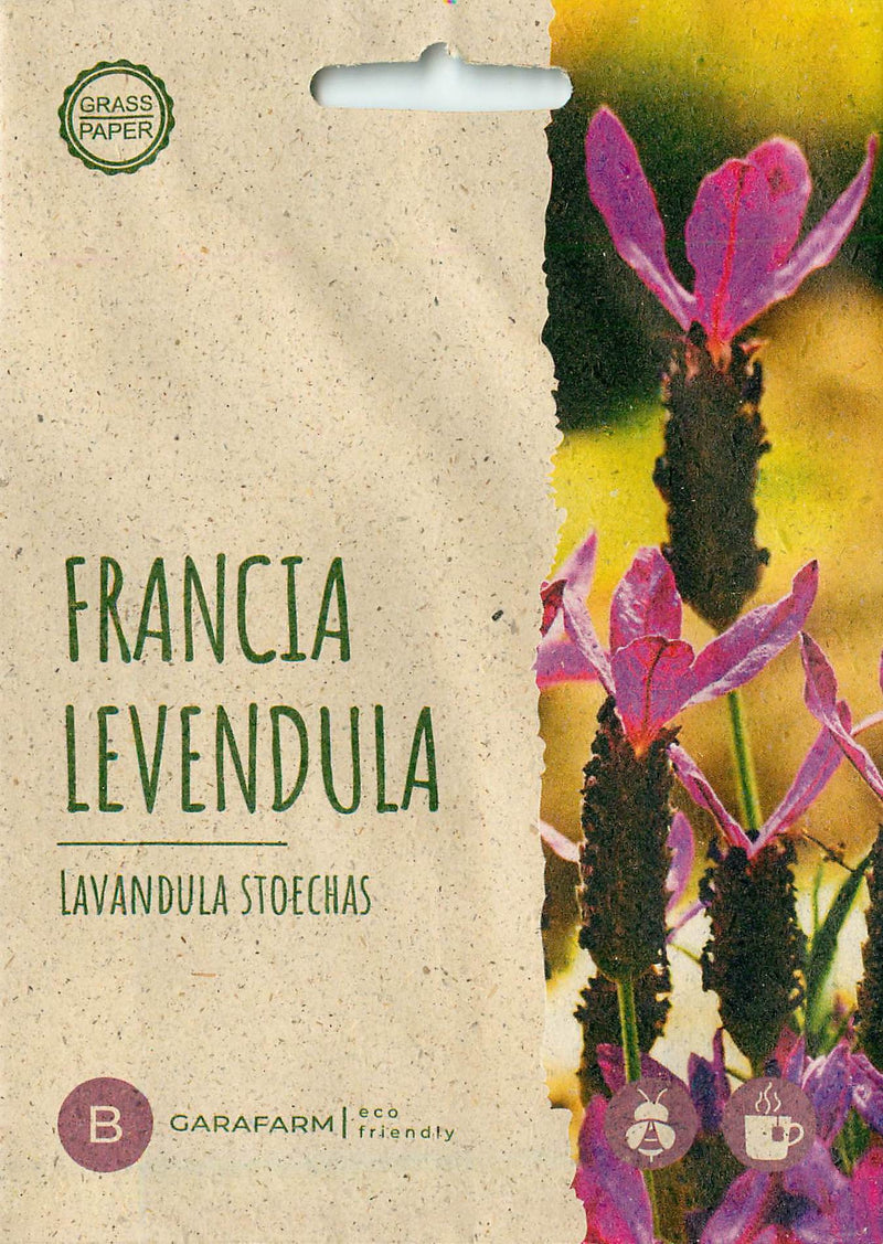 Lavanda Francesa - Bandera Deep Rose - 10 Semillas