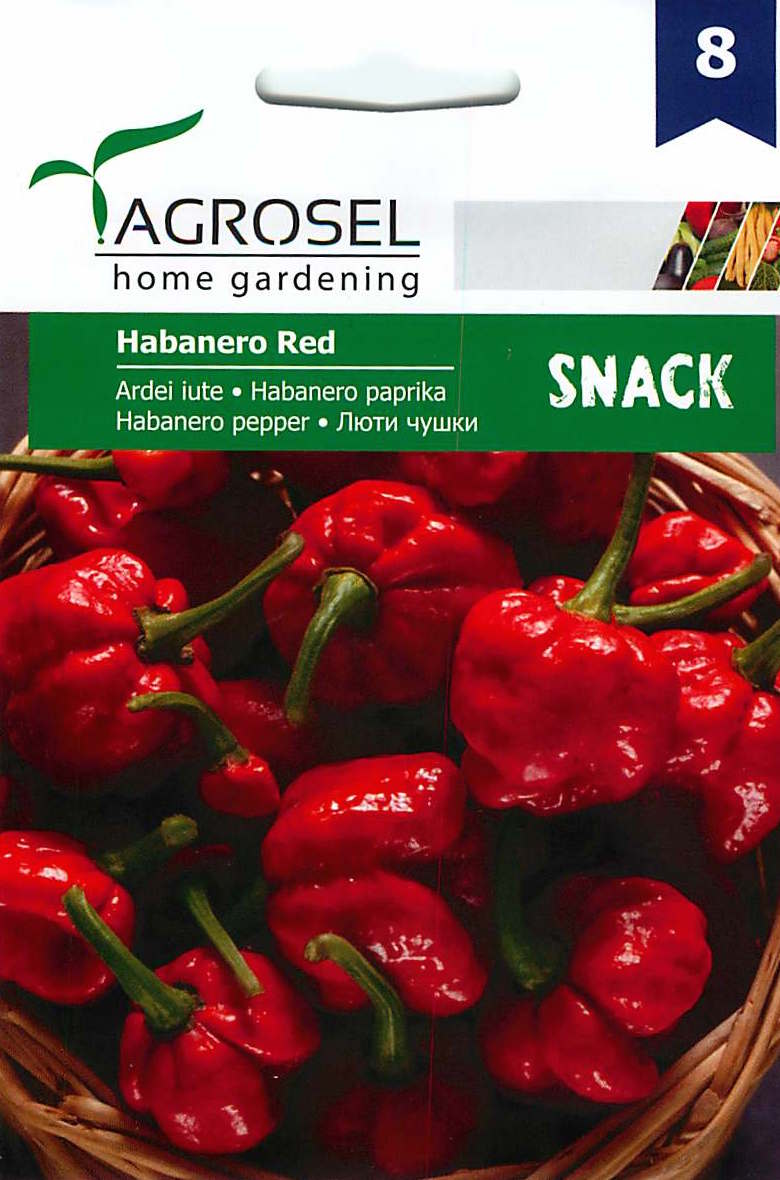 Chile Habanero - Rojo Habanero - 0,25g