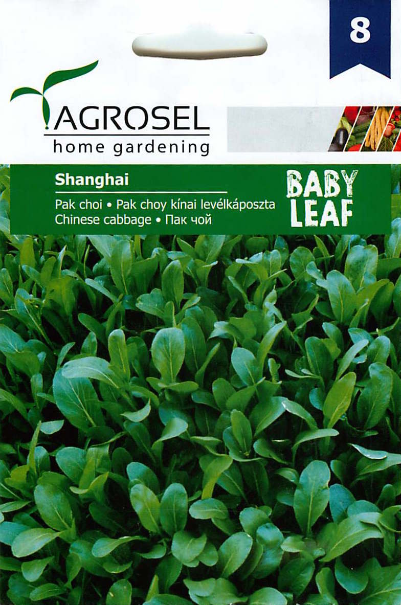 Baby Leaf Pak Choi - Shanghái - 2,5g