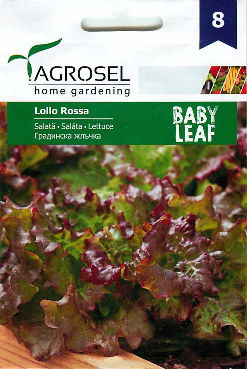 Salată Verde - Baby Leaf - Lollo Rossa - 5g