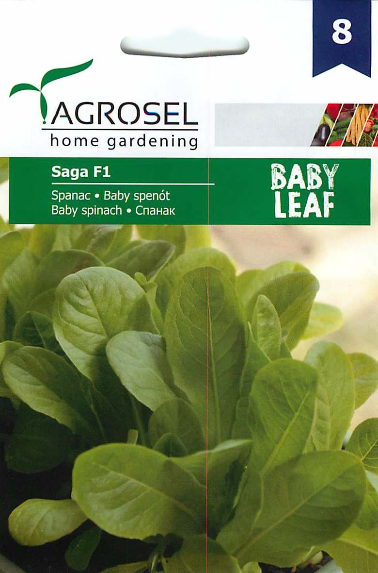 Babyspinazie - Baby Leaf  - Saga F1 - 3g