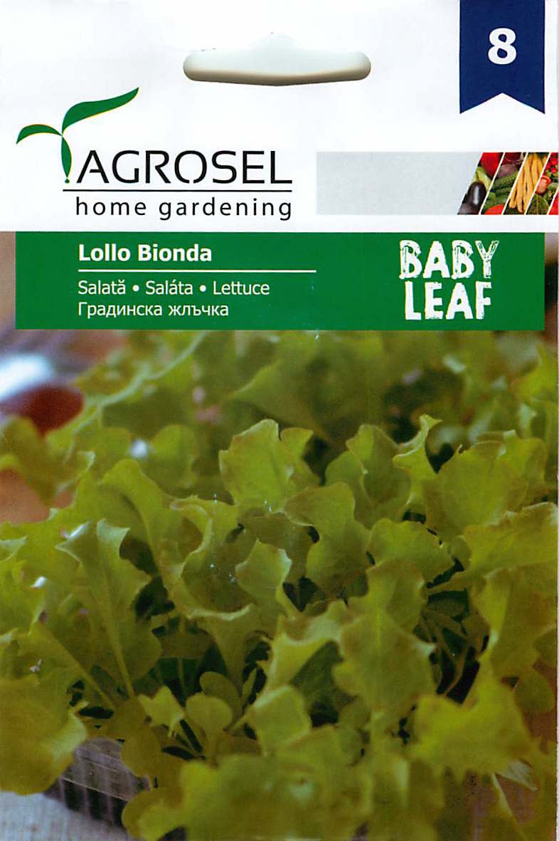 Salată Verde - Baby Leaf - Lollo Bionda - 5g