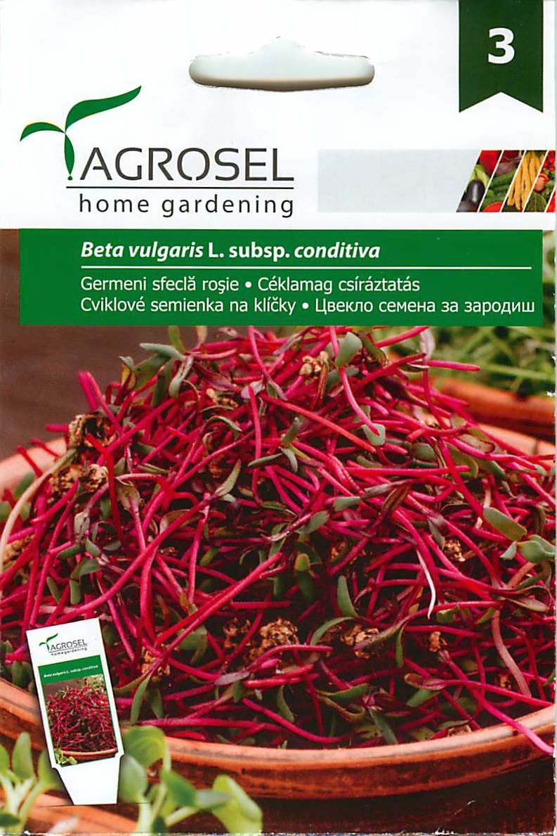 Beetroot Sprout - 300 seeds