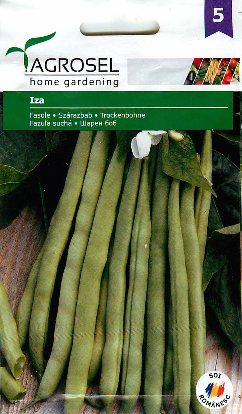 Beans - Iza - 45g