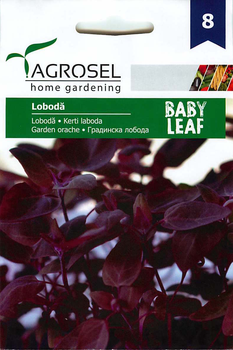 Garden Orache - Baby Leaf - 2g