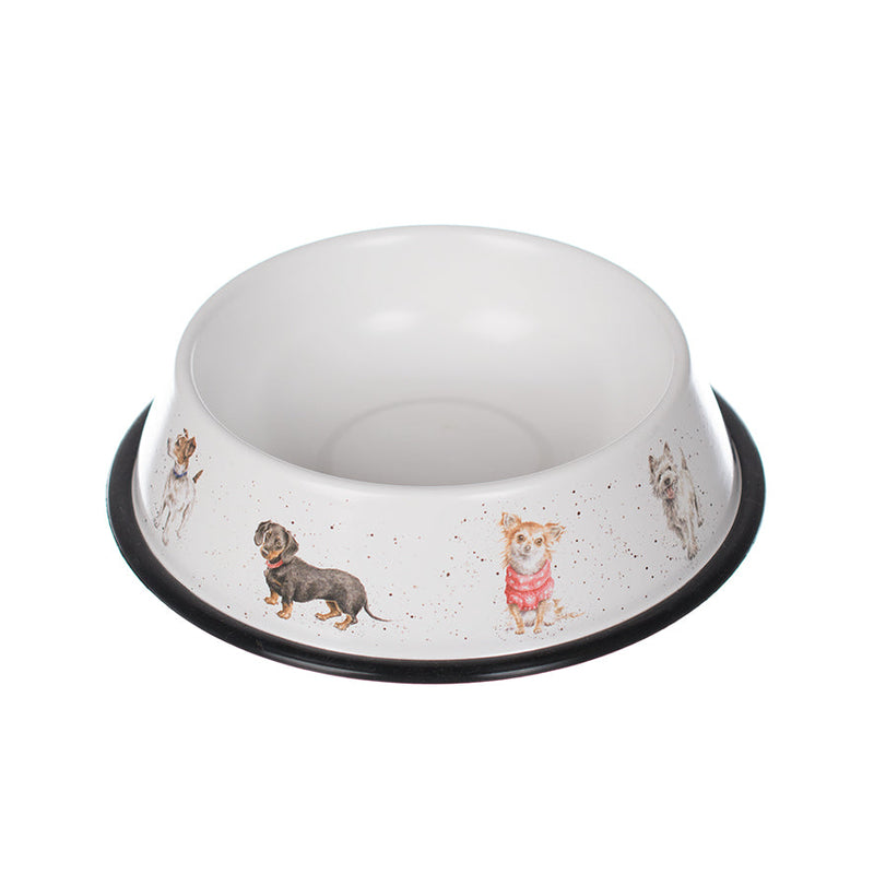 Dog Bowl - Medium